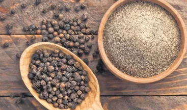 Karabiber bağışıklığı güçlendiriyor – Sağlık Haberleri