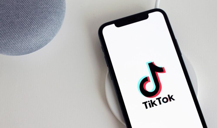 TikTok Kazanç Hesaplaması Nasıl Yapılır?